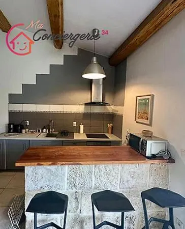 Joli Mas Duplex Piscine Parking Prive *
